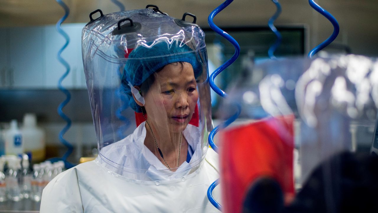 В ВОЗ считают утечку коронавируса из китайской лаборатории 