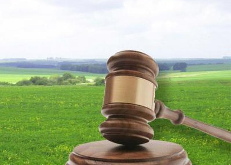 Рада  ухвалила закон про земельні аукціони 