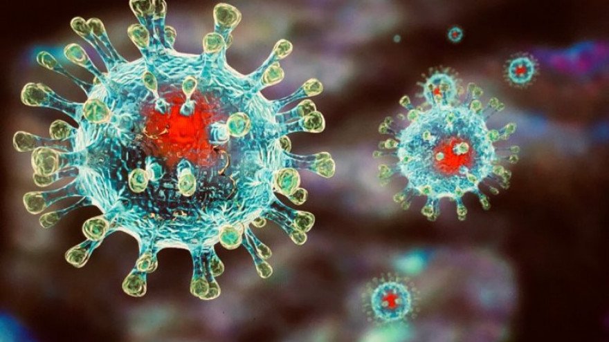Євросоюз заборонить авіарейси з південної Африки через поширення нового штаму коронавірусу