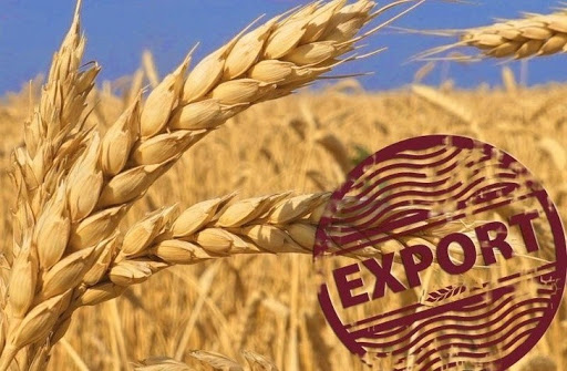 США розглядають зняття санкції з Білорусі заради експорту українського зерна - ЗМІ