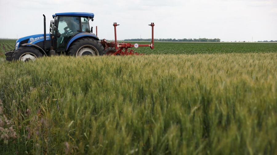 У Німеччині планують створити грошовий фонд для прискорення експорту зерна з України