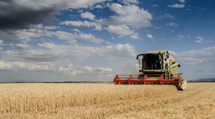  14 областей України завершили збір ранніх зернових