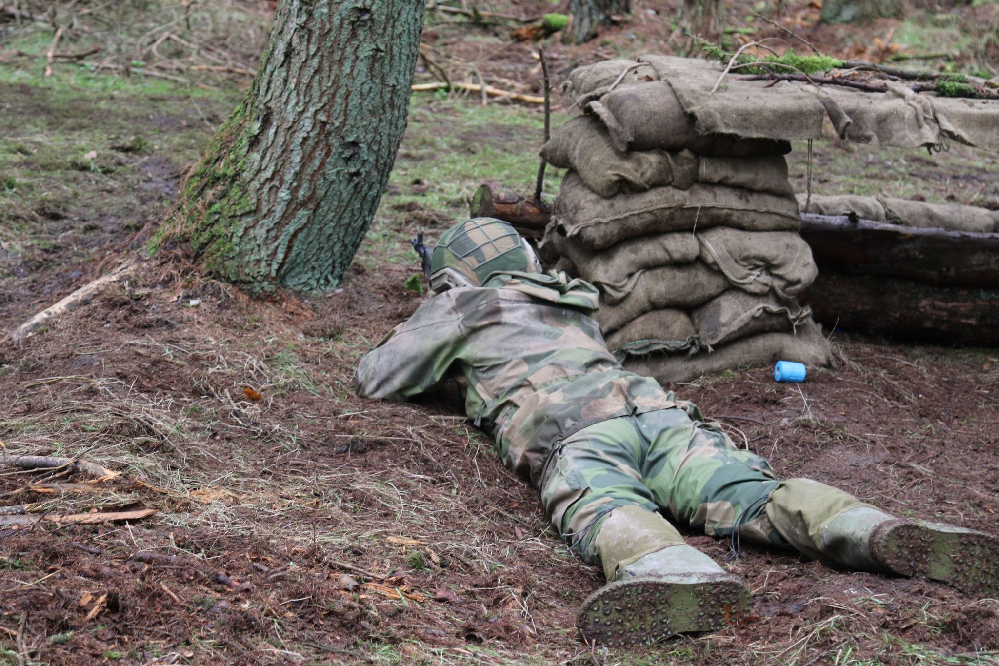 Норвезькі інструктори проводять навчання українських військових з навичок бою у лісах