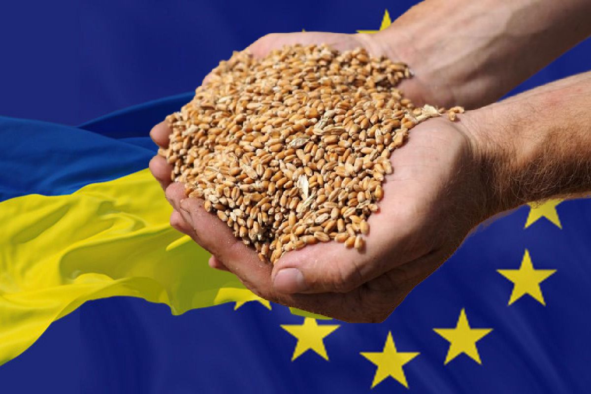 Угорщина єдина не відкликала односторонні обмеження аграрного імпорту з України