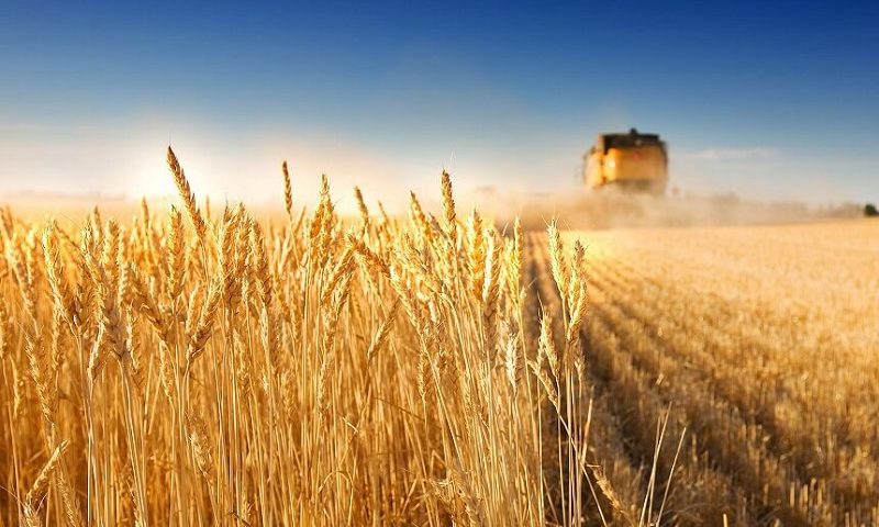 Угорщина вимагає продовження обмеження імпорту української агропродукції до кінця року