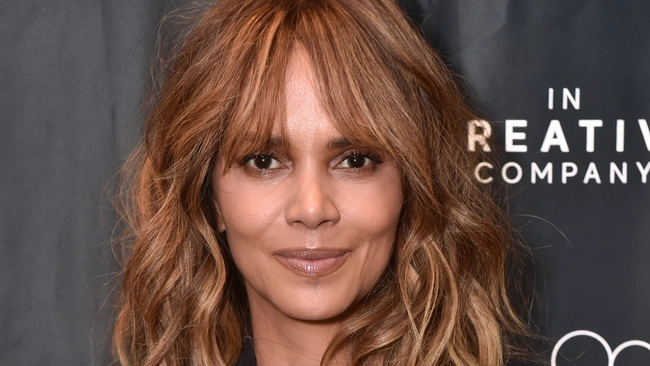 Halle Berry Settles Divorce After Nearly 8 Years, Agrees to Pay $8K in Child Support