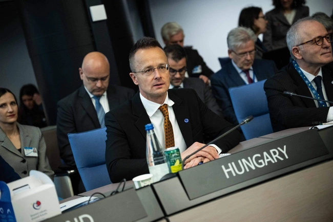 Угорщина ветувала резолюцію Ради Європи щодо української Формули миру